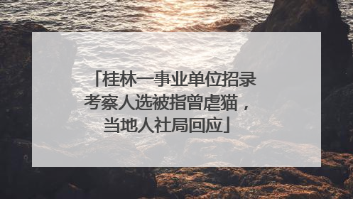 桂林一事业单位招录考察人选被指曾虐猫，当地人社局回应