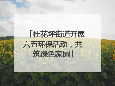 桂花坪街道开展六五环保活动，共筑绿色家园