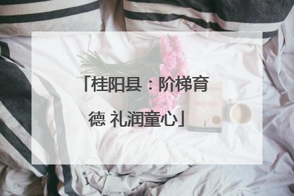 桂阳县：阶梯育德 礼润童心