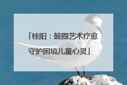 桂阳：鼓圈艺术疗愈守护困境儿童心灵