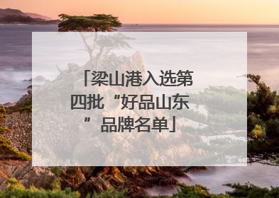 梁山港入选第四批“好品山东”品牌名单