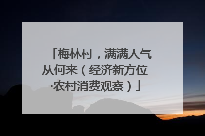 梅林村，满满人气从何来（经济新方位·农村消费观察）