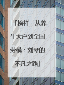 榜样｜从养牛大户到全国劳模：刘琴的不凡之路