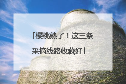 樱桃熟了！这三条采摘线路收藏好