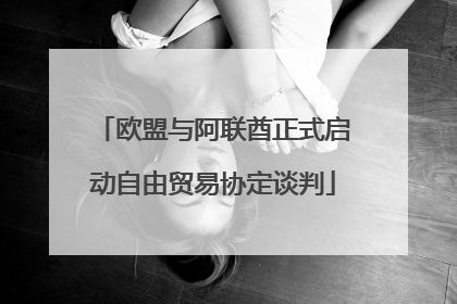 欧盟与阿联酋正式启动自由贸易协定谈判