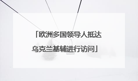 欧洲多国领导人抵达乌克兰基辅进行访问