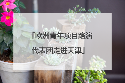 欧洲青年项目路演代表团走进天津