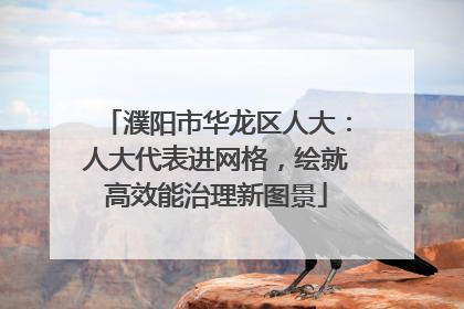濮阳市华龙区人大：人大代表进网格，绘就高效能治理新图景