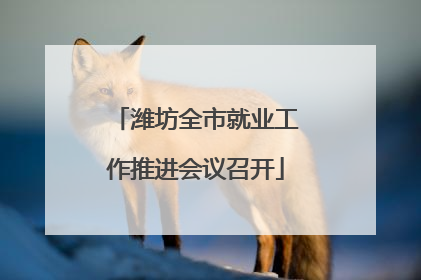 潍坊全市就业工作推进会议召开