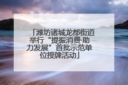 潍坊诸城龙都街道举行“提振消费·助力发展”首批示范单位授牌活动