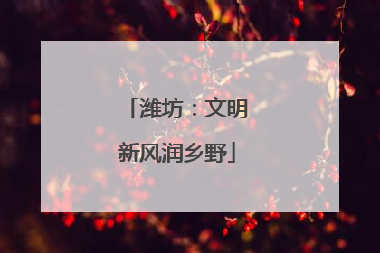 潍坊：文明新风润乡野