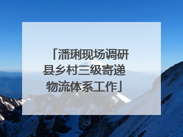 潘琍现场调研县乡村三级寄递物流体系工作