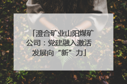 澄合矿业山阳煤矿公司：党建融入激活发展向“新”力