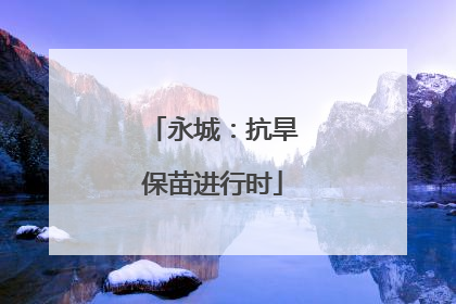 永城：抗旱保苗进行时
