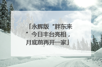 永辉版“胖东来”今日丰台亮相，月底前再开一家