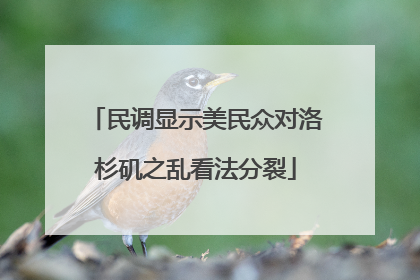 民调显示美民众对洛杉矶之乱看法分裂