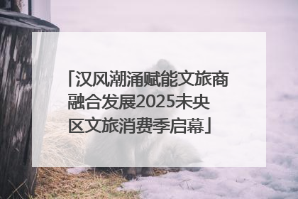 汉风潮涌赋能文旅商融合发展2025未央区文旅消费季启幕