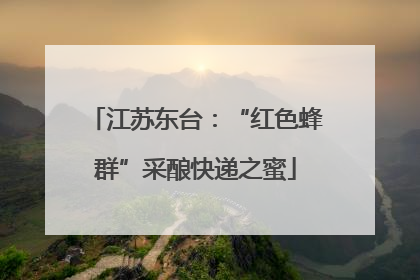 江苏东台：“红色蜂群”采酿快递之蜜