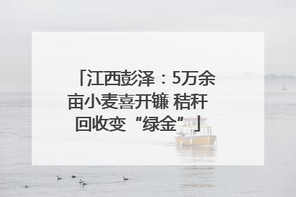 江西彭泽：5万余亩小麦喜开镰 秸秆回收变“绿金”