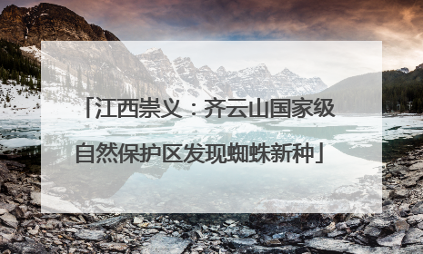 江西崇义：齐云山国家级自然保护区发现蜘蛛新种