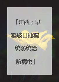 江西：早稻破口抽穗 统防统治防病虫