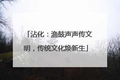 沾化：渔鼓声声传文明，传统文化焕新生