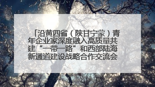 沿黄四省（陕甘宁蒙）青年企业家深度融入高质量共建“一带一路”和西部陆海新通道建设战略合作交流会在甘肃兰州召开