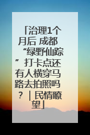 治理1个月后 成都“绿野仙踪”打卡点还有人横穿马路去拍照吗？｜民情瞭望
