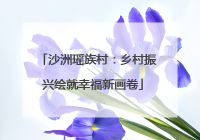 沙洲瑶族村：乡村振兴绘就幸福新画卷