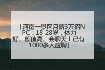 河南一景区月薪3万招NPC：18-28岁，体力好、颜值高、会聊天！已有1000多人应聘