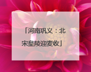 河南巩义：北宋皇陵迎麦收