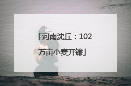 河南沈丘：102 万亩小麦开镰