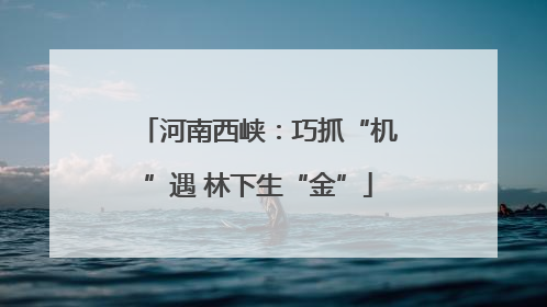 河南西峡：巧抓“机”遇 林下生“金”