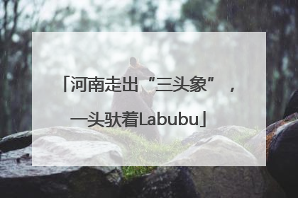 河南走出“三头象”，一头驮着Labubu