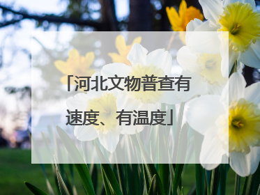 河北文物普查有速度、有温度