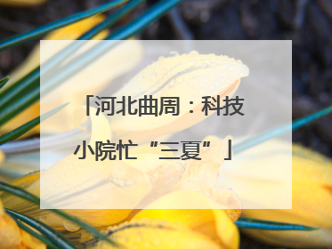 河北曲周：科技小院忙“三夏”