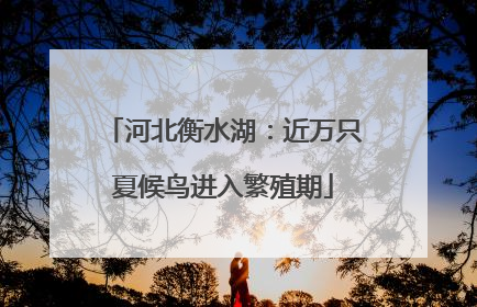 河北衡水湖：近万只夏候鸟进入繁殖期