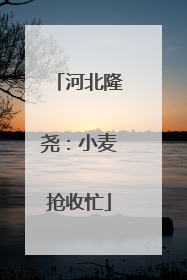 河北隆尧：小麦抢收忙