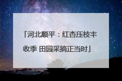 河北顺平：红杏压枝丰收季 田园采摘正当时