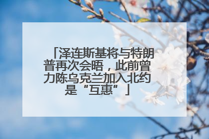 泽连斯基将与特朗普再次会晤，此前曾力陈乌克兰加入北约是“互惠”