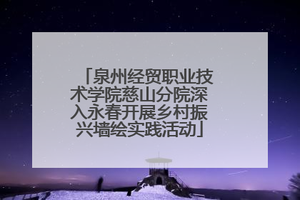 泉州经贸职业技术学院慈山分院深入永春开展乡村振兴墙绘实践活动