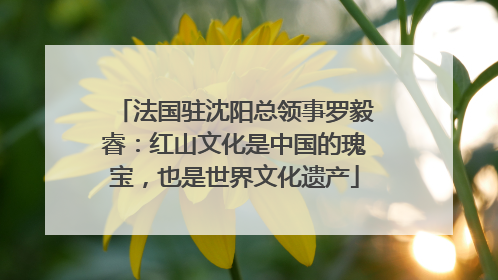 法国驻沈阳总领事罗毅睿：红山文化是中国的瑰宝，也是世界文化遗产