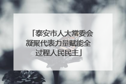 泰安市人大常委会凝聚代表力量赋能全过程人民民主