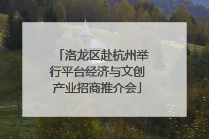 洛龙区赴杭州举行平台经济与文创产业招商推介会