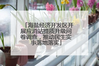 海盐经济开发区开展应消站提质升级问卷调查，推动民生实事落地落实