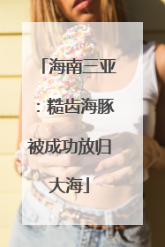 海南三亚：糙齿海豚被成功放归大海