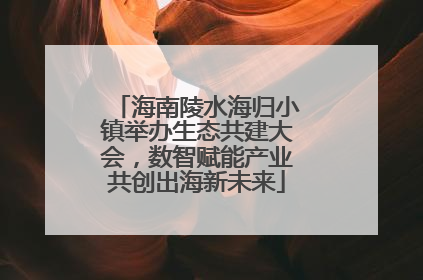 海南陵水海归小镇举办生态共建大会，数智赋能产业共创出海新未来
