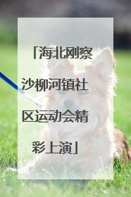 海北刚察沙柳河镇社区运动会精彩上演