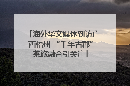 海外华文媒体到访广西梧州 “千年古郡”茶旅融合引关注