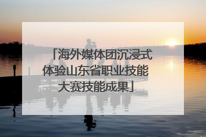 海外媒体团沉浸式体验山东省职业技能大赛技能成果